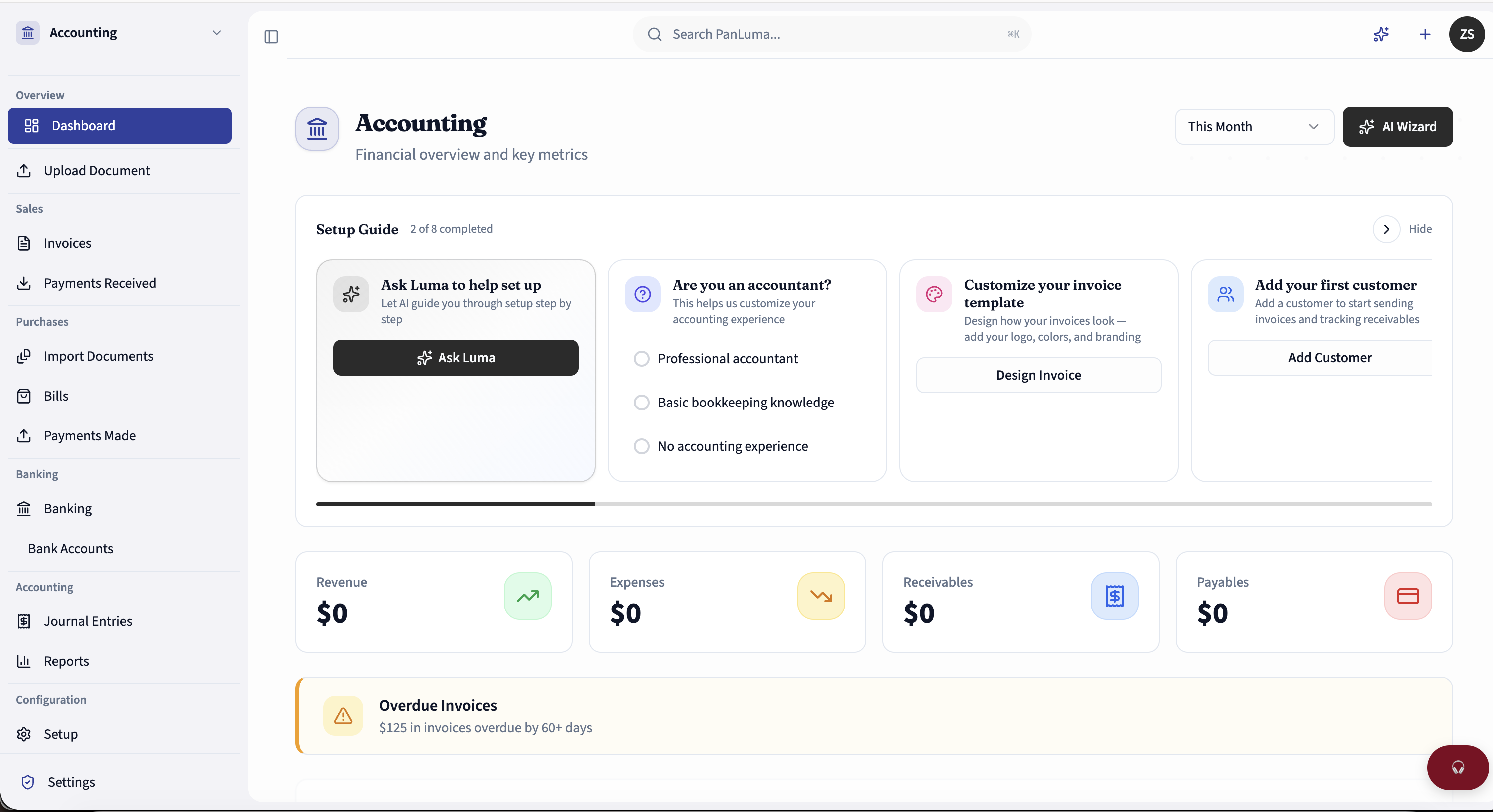 PanLuma Accounting — Dashboard showing revenue, expenses, and financial reports